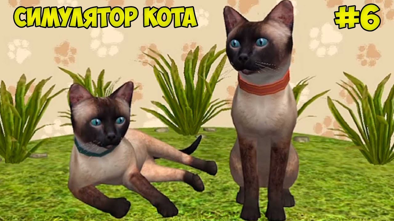 СИМУЛЯТОР КОТА и КОШКИ #6 Сиамская кошка против банды зайцев и кабана