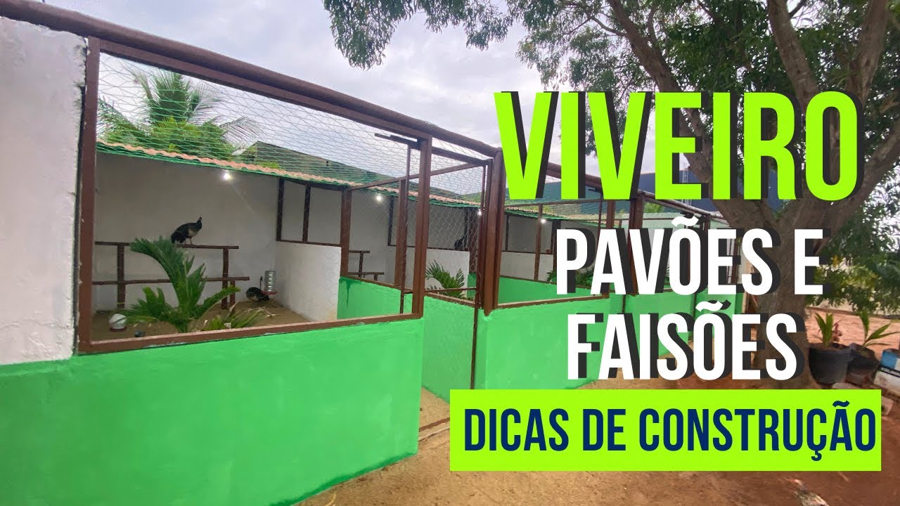 Viveiro de pavão e faisão