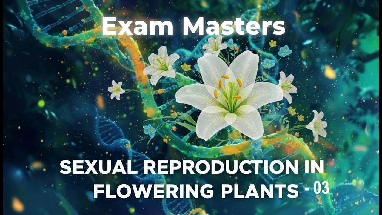 Sexual Reproduction in Flowering Plants - 03