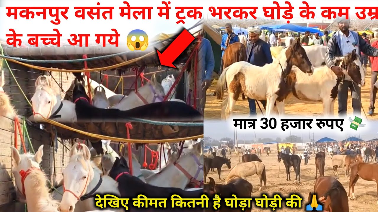 मकनपुर वसंत मेला में 2 महीने का बच्चा 😱 बहुत ही कम कीमत में 💸🙏 