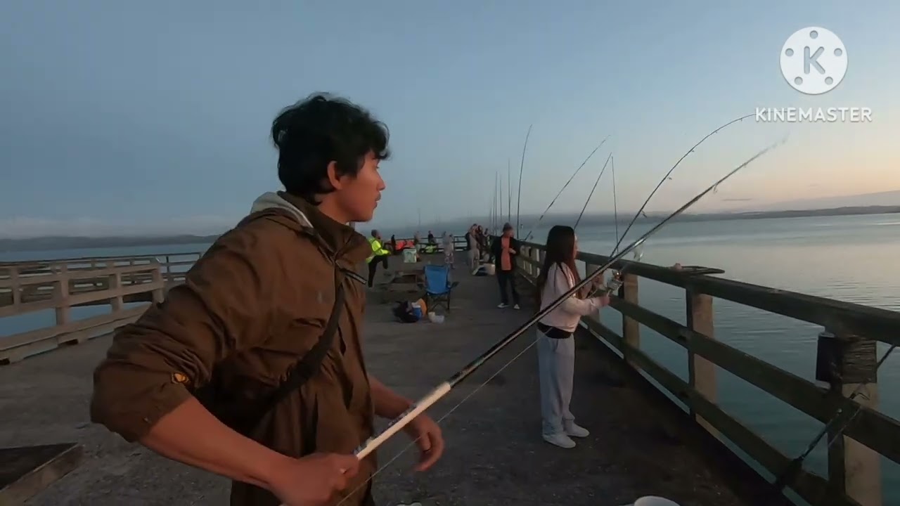 NZ wharf Fishing | Kawakawa bay | Waitawa regional park