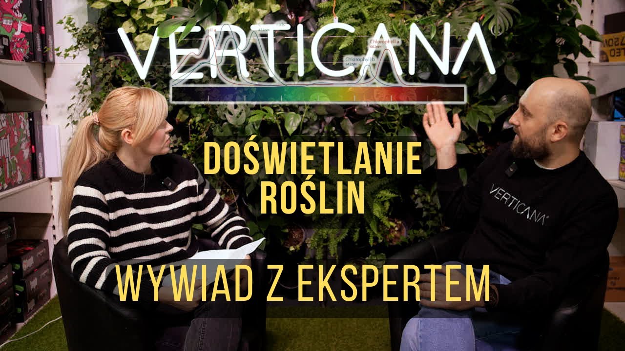 Doświetlanie roślin - wywiad z ekspertem. Na co zwracać uwagę, jak wybierać i ile wydać na światło?