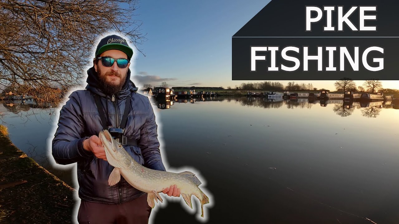 Winter Pike Fishing ❄️ (Deadbaiting + Lures 🐊)