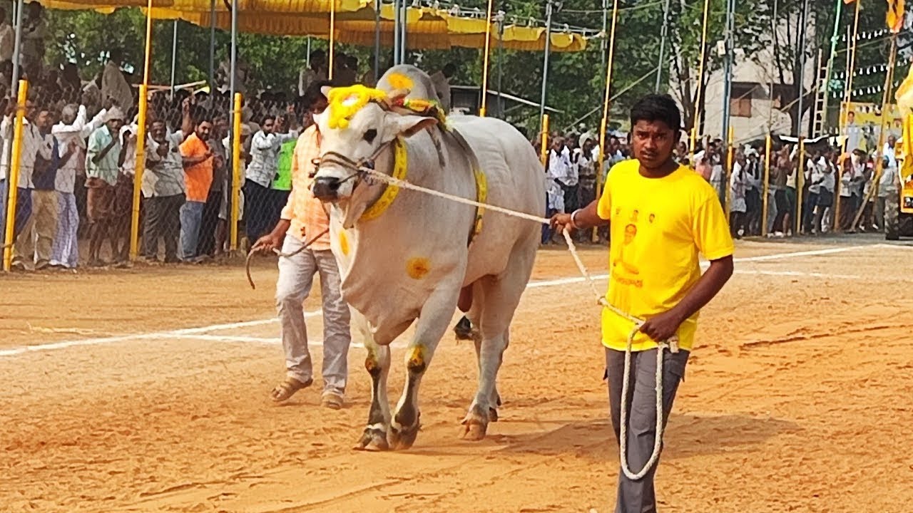 చిలకలూరిపేట జూనియర్ విభాగంలో 12వ జత VSC హాస్పిటల్,రూపిణీగుంట్ల, పల్నాడు జిల్లా