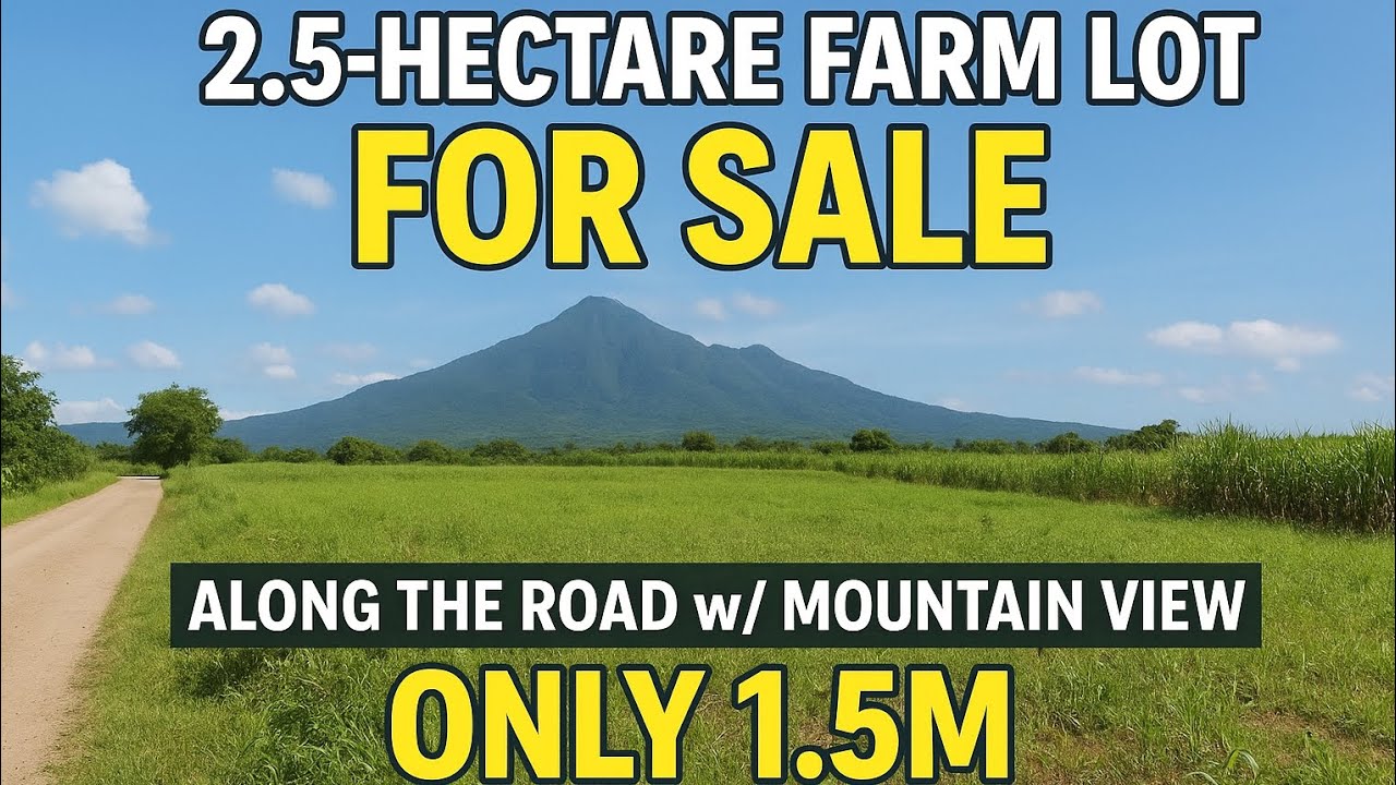 (Vlog#123) 2.5-Hectare farm lot. Along brgy road  for only 1.5m (Supper sulit) #investment 