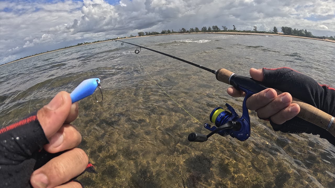 já viu uma MICRO colher em ação ?  pescaria ultra light na beira da praia