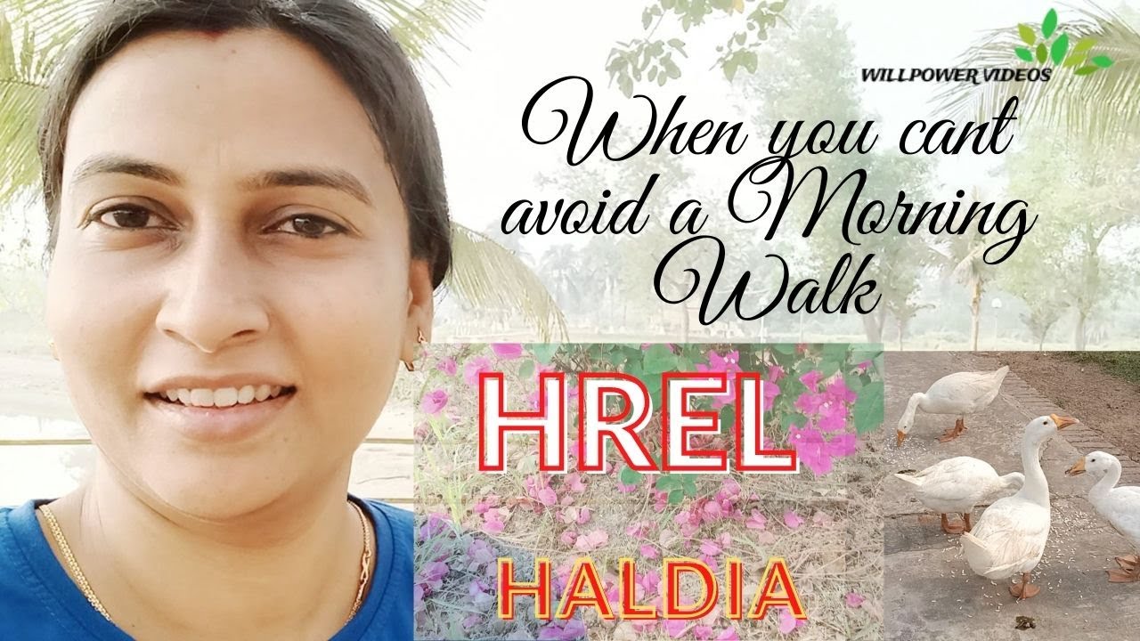 দিদির বাড়িতে দুদিন | The Morning view of HREL Complex- Haldia | Willpower Videos.