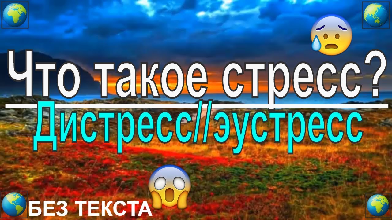 ЧТО ТАКОЕ СТРЕСС???Положительный и отрицательный стресс (ЭУСТРЕСС и ДИСТРЕСС)Без слов.