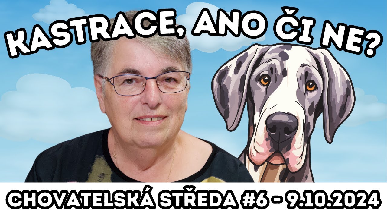 ❓KASTRACE, ano či ne❓| Chovatelská středa #6