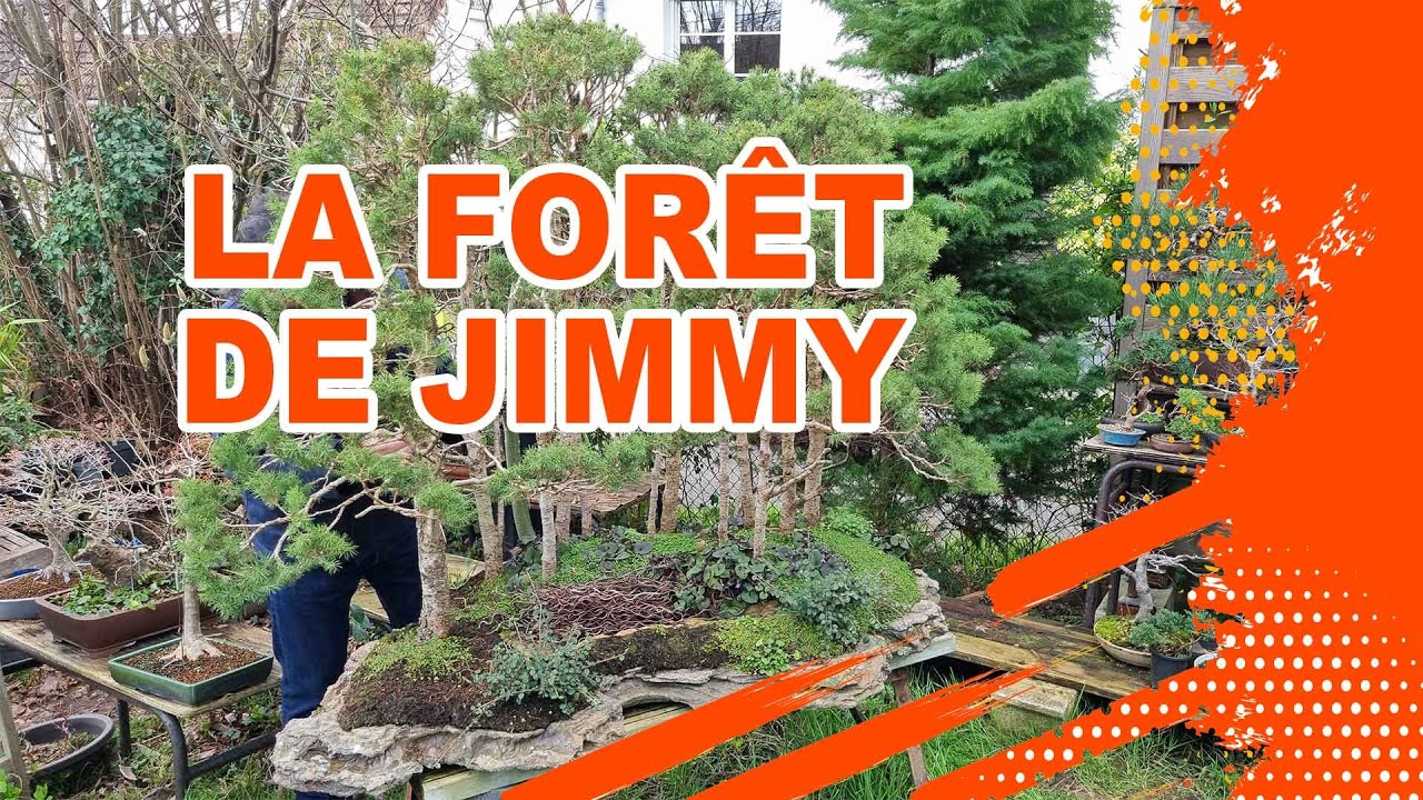 LA FORÊT DE JIMMY