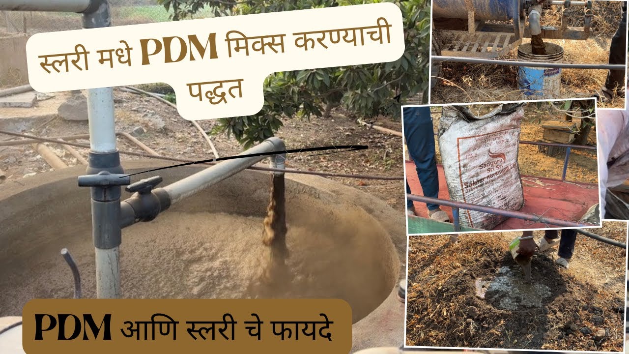 PDM आणि स्लरी चे फायदे || #farmer 