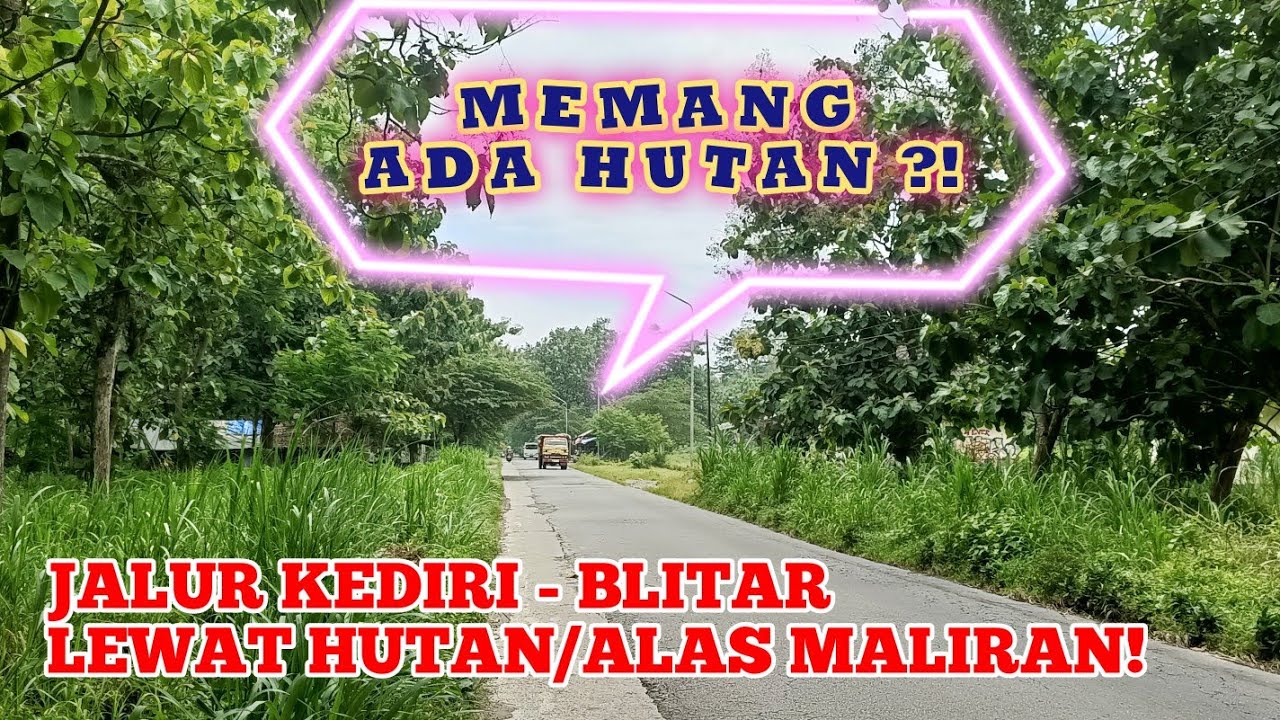 JALUR KEDIRI - BLITAR BISA LEWAT HUTAN?!