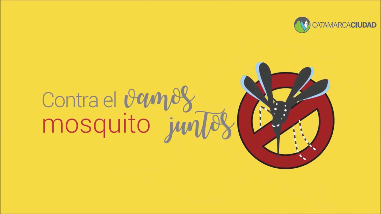 CONTRA EL MOSQUITO... VAMOS TODOS JUNTOS