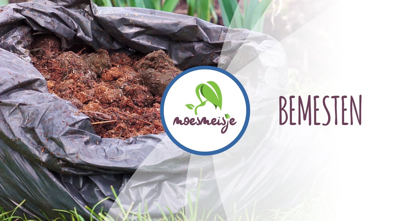 Bemesting moestuin | Moestuin bemesten