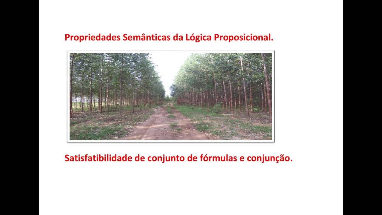 L&oacute;gica Matem&aacute;tica.  Propriedades sem&acirc;nticas. Satisfatibilidade de conjunto de f&oacute;rmulas e conjun&ccedil;&atilde;o.