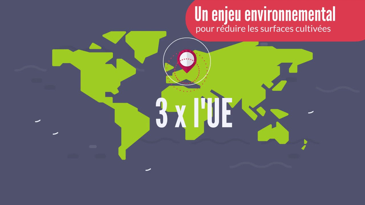 Les enjeux de la lutte contre le gaspillage alimentaire