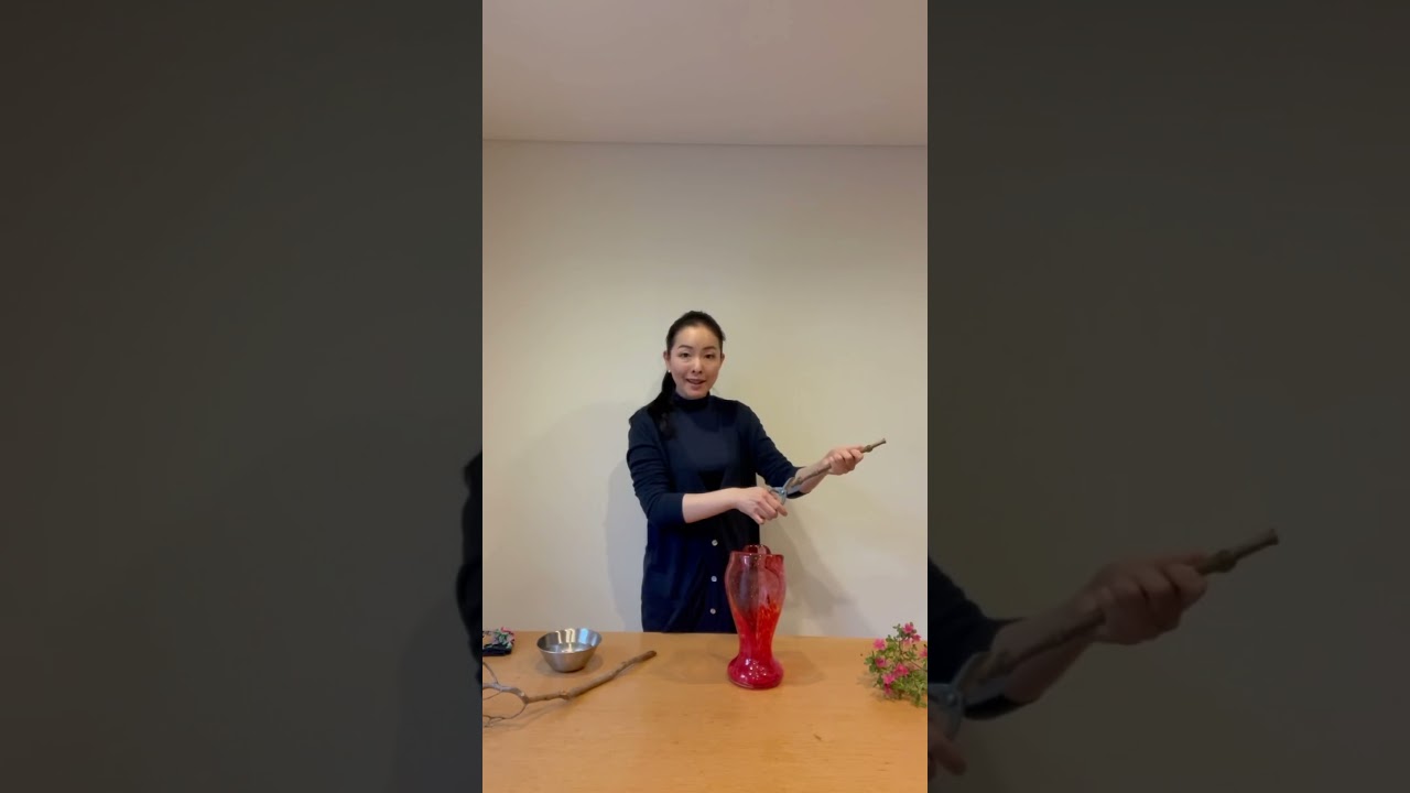 3 minutes Ikebana!! 3分でいけばな