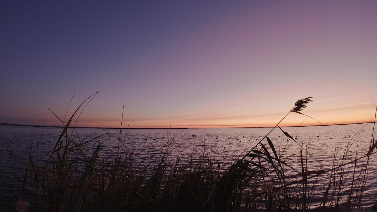 3 day Dogris hunt in the marsh