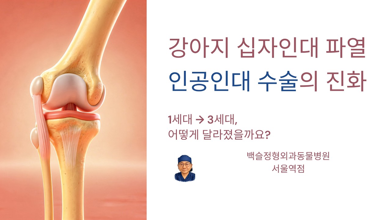 강아지십자인대파열 치료법, 인공인대수술의 진화. 1세대부터 3세대까지 어떻게 달라졌나 알아봅니다.