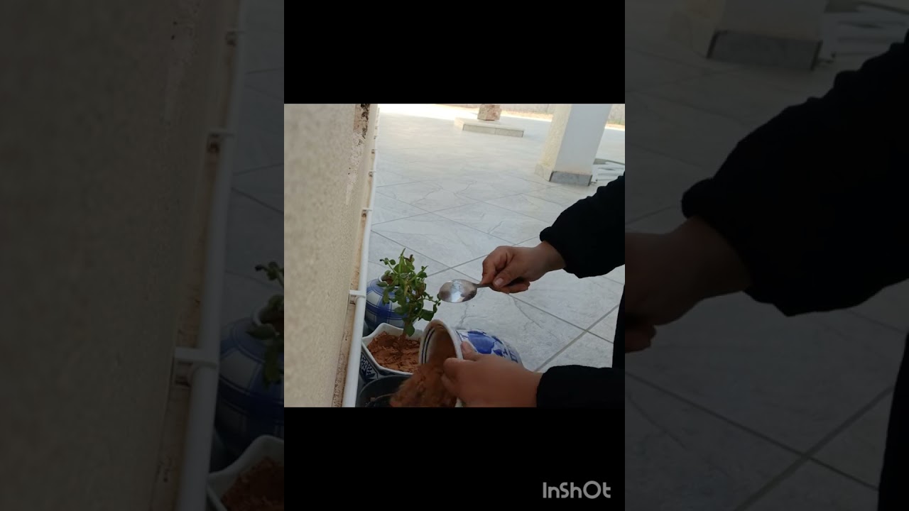 فيديو جديد و وصفة جديدة معا monsieur cuisine . كيفاش نستغل الوقت في العطلة معا صغار.