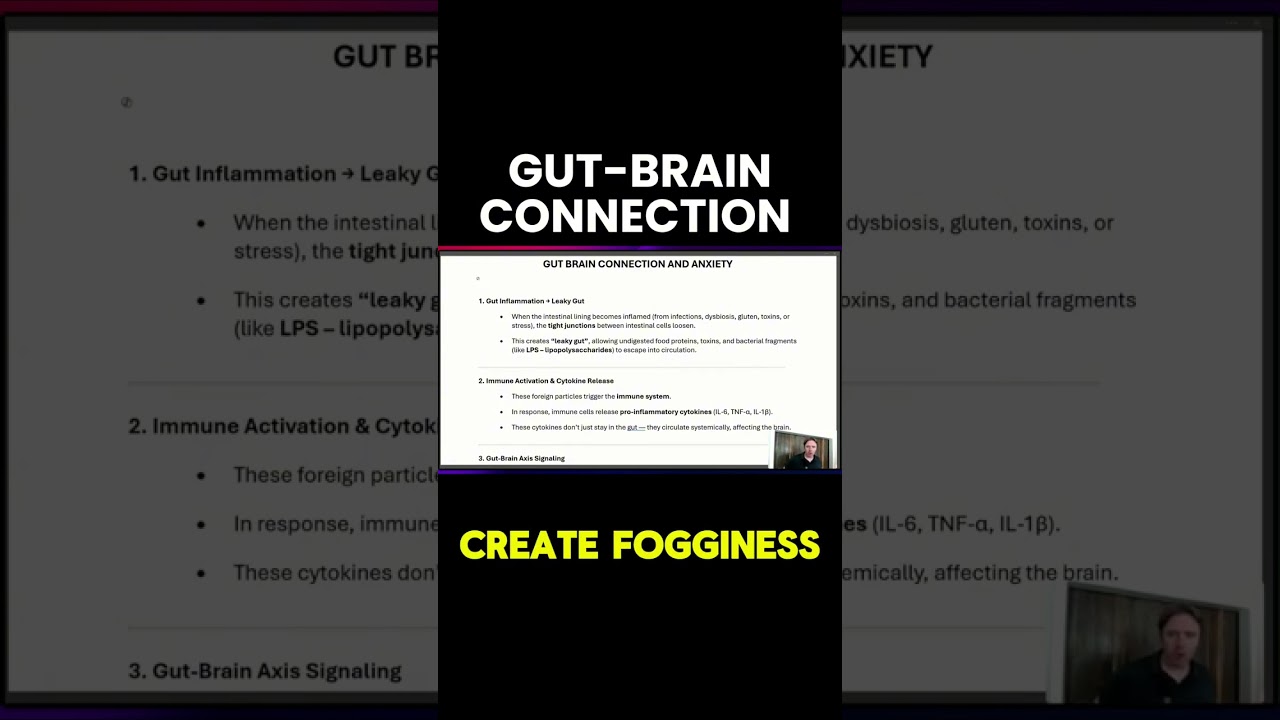 How Bad Bacteria in the Gut Can Disrupt Your Brain