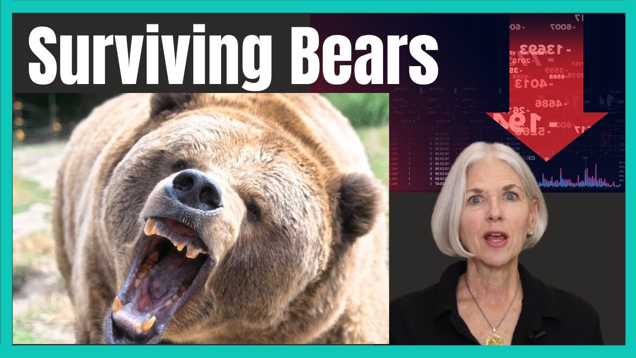 Bear Market Investing - Crazy Lessons From My Bear Market History