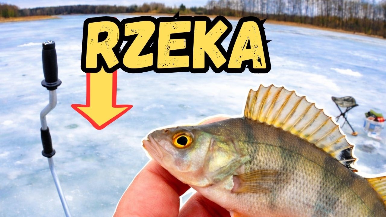 Zimowisko