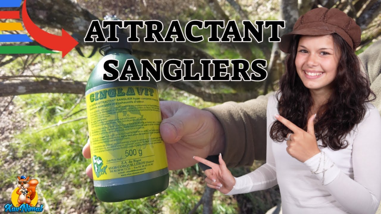 CINGLAVIT : attractant sanglier de chez VITEX #sanglier