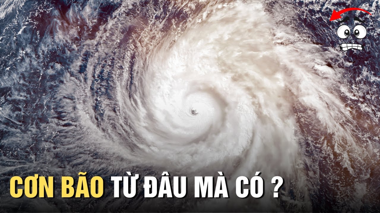 Bão Hình Thành Như Thế Nào? Giải Thích Sức Gió, Triều Cường Và Mưa Lũ