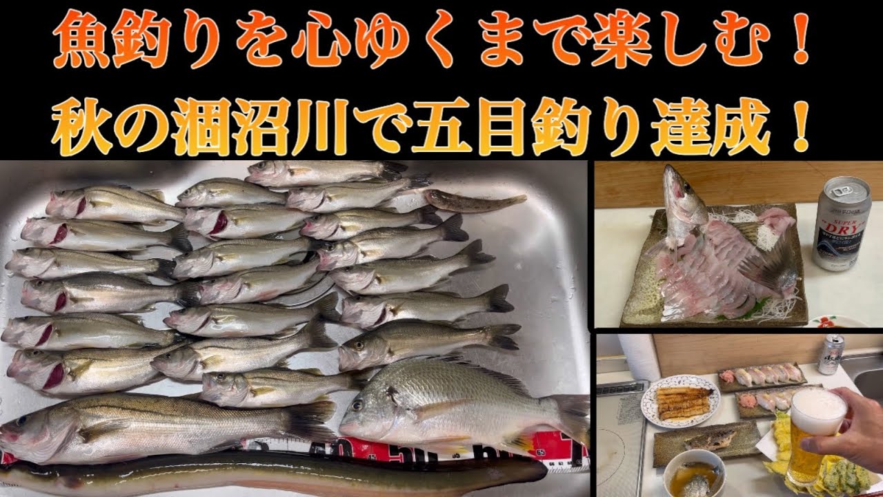 【魚釣りを心ゆくまで楽しむ】涸沼川でセイゴが大漁！さらに五目釣り達成！7品料理で満腹！ハゼやセイゴ以外にも驚きの魚が！