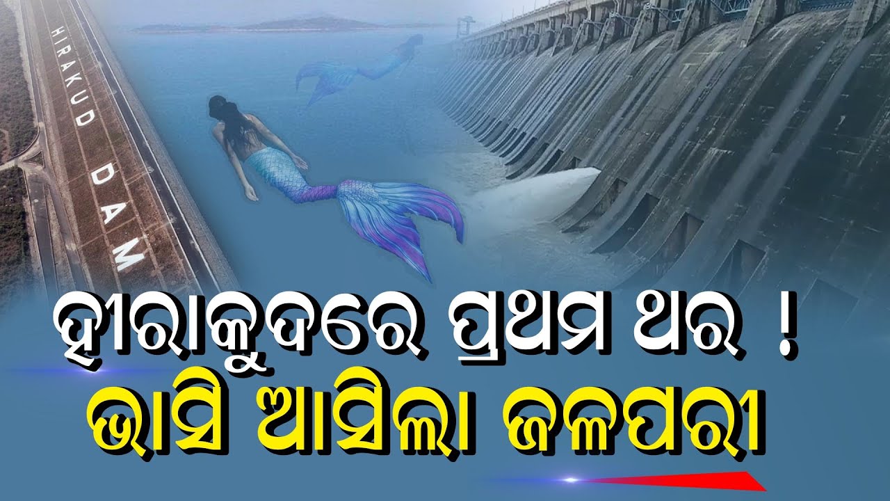 ଓଡିଶାରେ ପ୍ରଥମ ଘଟଣା । ହୀରାକୁଦରେ ଖେଳିଲେ ଜଳପରୀ । ସମସ୍ତେ ଆଶର୍ଯ୍ୟ ହୋଇଗଲେ । MERMAID IN HIRAKUD DAM  I