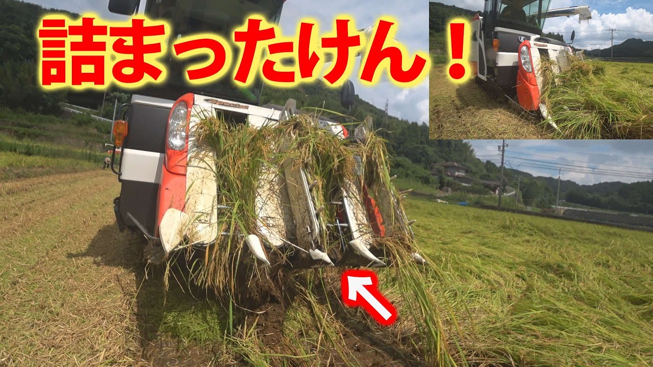 【会社員実家農業手伝う】【特集】農業トラブル　台風で倒伏したので４条刈りで稲刈り、引っかかるけどな【農機具】