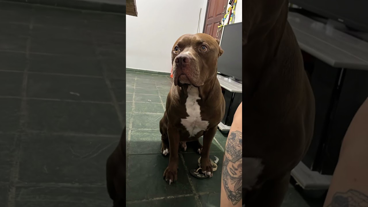 O que te faz feliz não precisa fazer sentido para mais ninguém! 