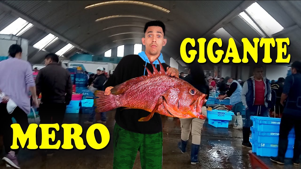 Variedad de Pescados en el Terminal Pesquero VMT ¡Conoce los PRECIOS!