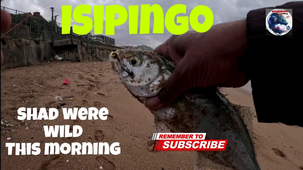 OFFROAD4LIFE, Fishing in Isipingo Beach, Durban, South Africa for Shad