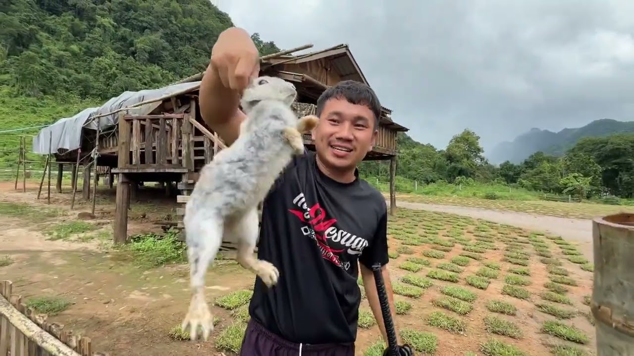 เลิกยูทูปแล้ว หายไปไหน?