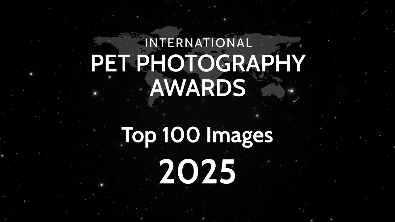 The Best Pet Photos of 2025