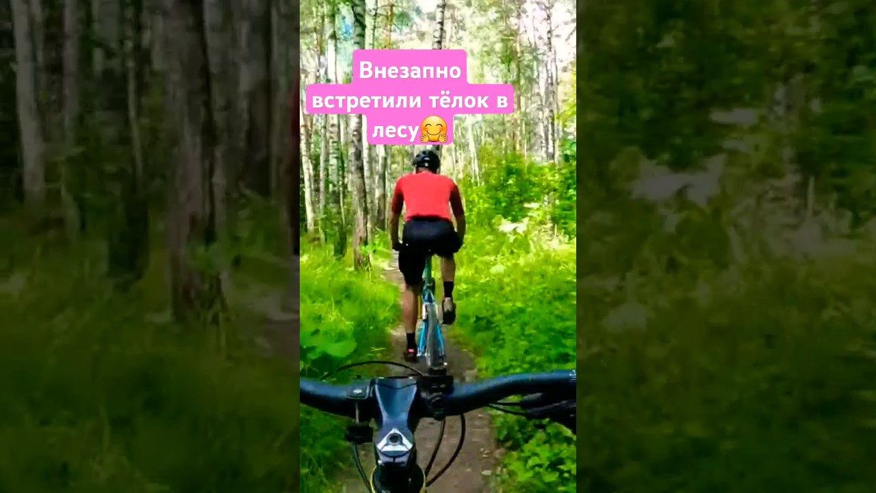 Что эти тёлки делают в лесу? #mtb