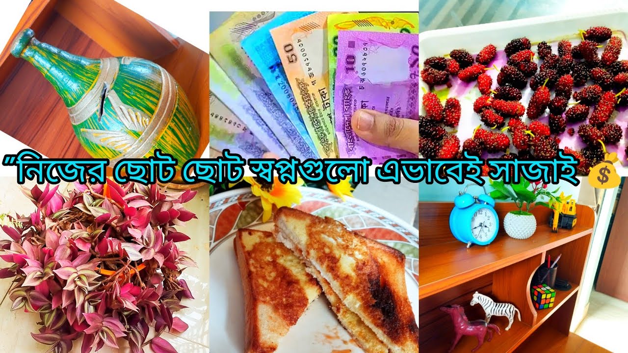 বড় কিছু করার স্বপ্ন নিয়ে পথচলা | জেব্রিনা ও পার্পেল হার্ট গাছের নতুন ঘর 🌱