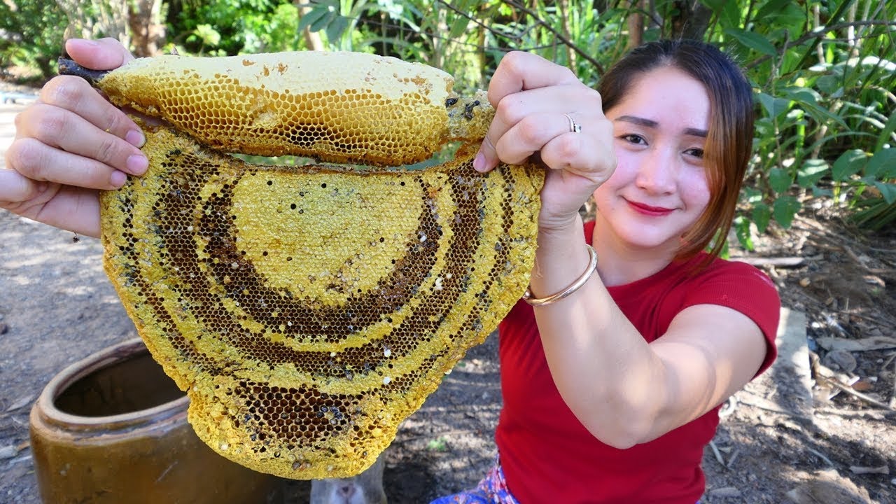 Yummy Honey Comb Grilling Recipe - Honey Comb Cooking - Cooking With Sros