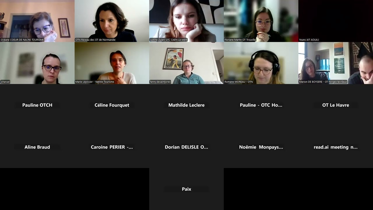 Webinaire de présentation Destination d'Excellence : gestion des flux, accessibilité : OTN 4/04/2025