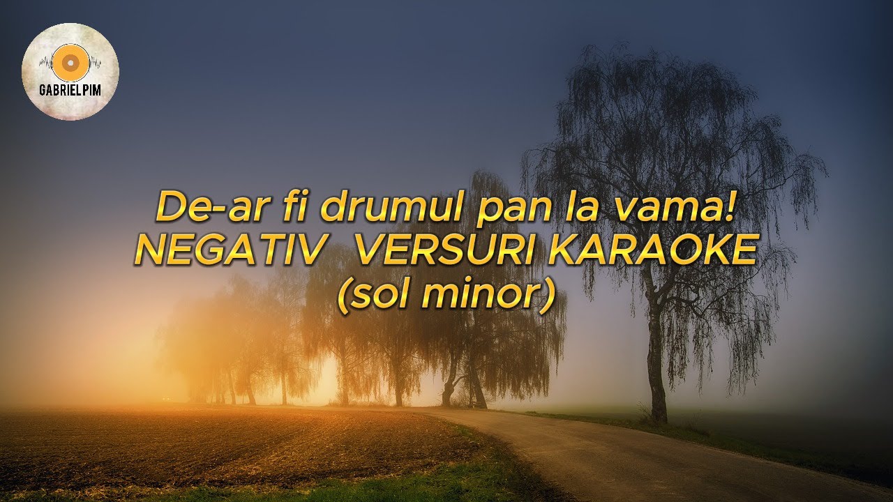 De ar fi drumul pan la vama! NEGATIV VERSURI KARAOKE (sol minor) (COVER)
