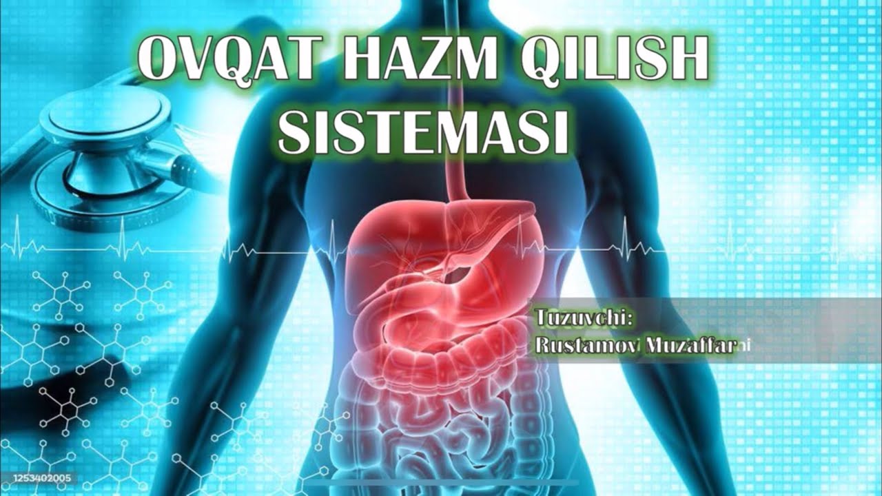 8-sinf darsligi. 26-29-mavzular(Ovqat hazm qilish sistemasi).