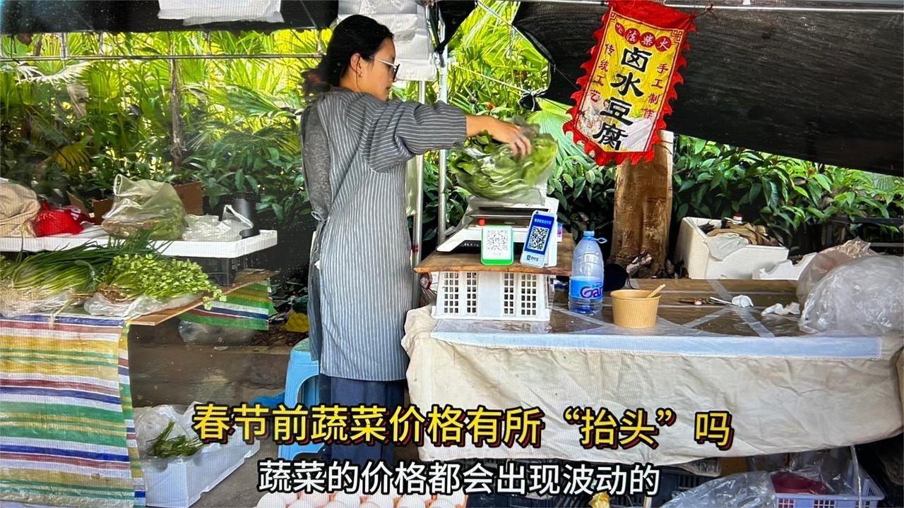 2026年春节前蔬菜价格有所“抬头”吗？探秘雅居乐小市场的菜价
