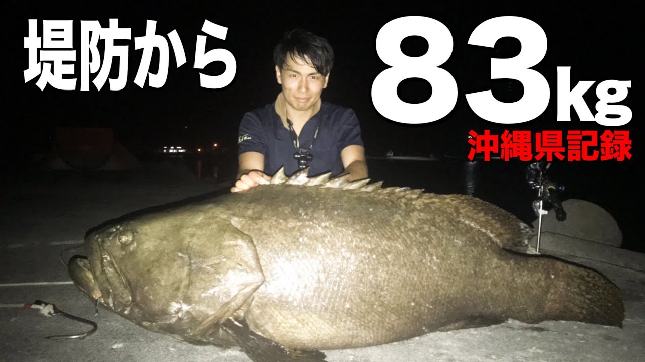 【生涯一本の奇跡】超巨大魚との死闘の記録はこちら（石垣第3夜）
