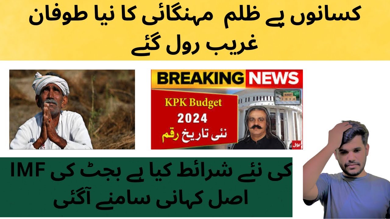 Status of Budget 2024/25  Pakistan 🇵🇰😳🤬