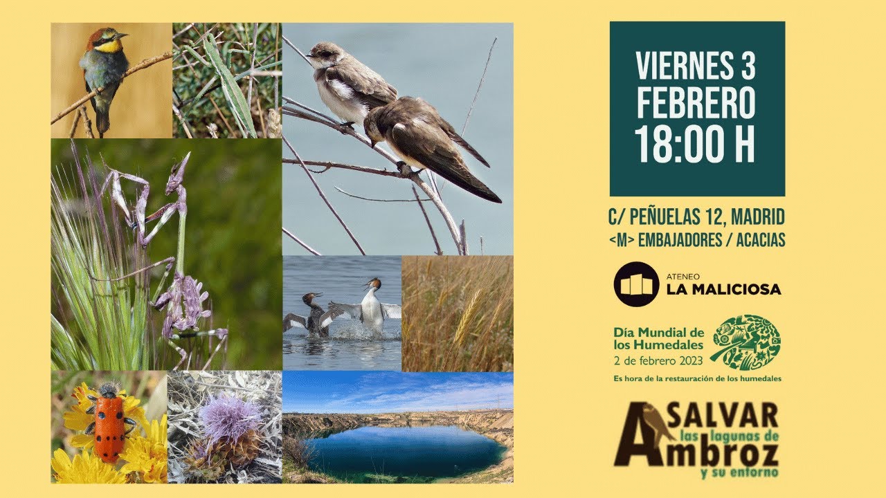Los ecosistemas de las Lagunas de Ambroz. Un oasis de biodiversidad en Madrid