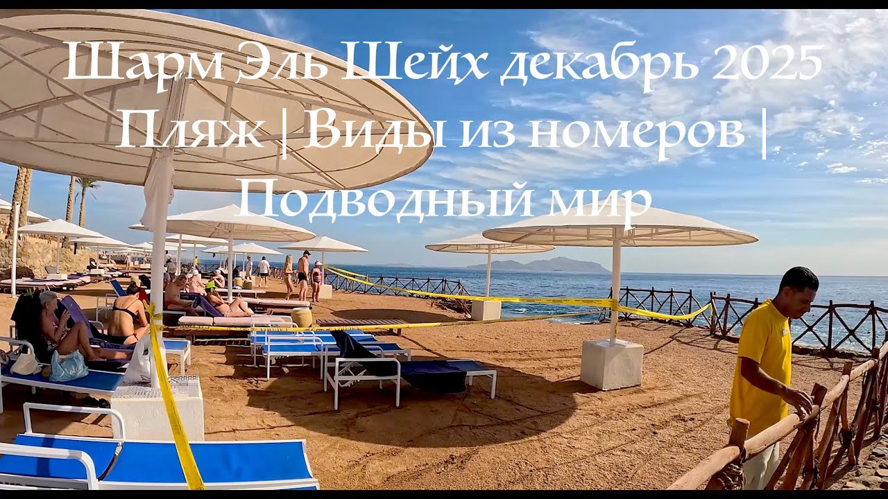 ПЛЯЖ Invidia Coral Beach Tiran, виды из дорогих номеров, подводный мир, ОГРОМНАЯ мурена, кораллы