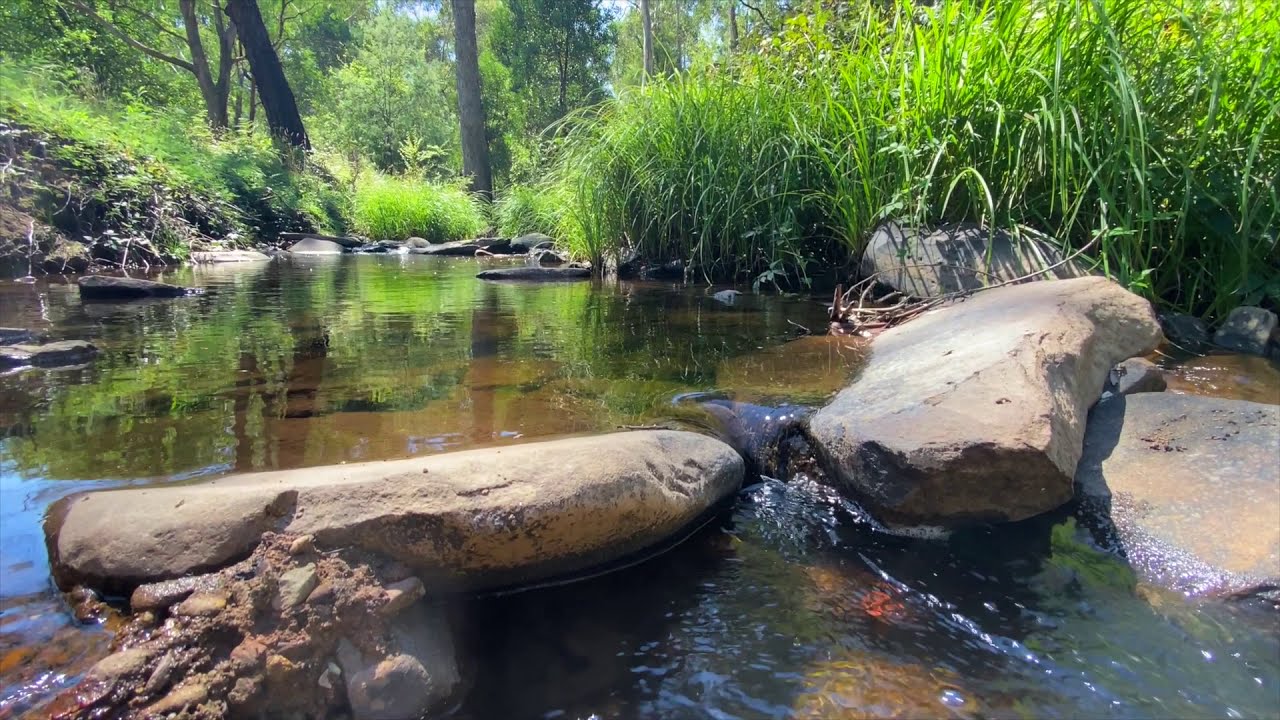 11 Acres Bordered by Buttercup Creek - Paradise in MERRIJIG!