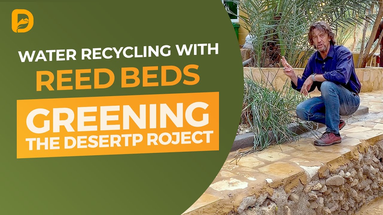 Water Recycling with Reed Beds